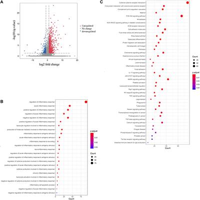 Comparative Transcriptomic Analysis Reveals the Immunosuppressive Targets of Mesalazine in Dextran Sulfate Sodium-Induced Ulcerative Colitis